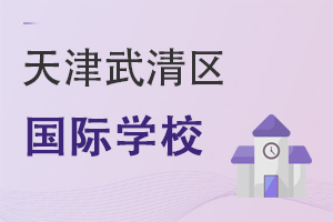 天津武清區(qū)國際學校