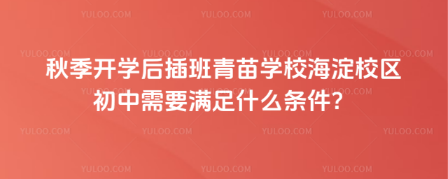 秋季開學后插班青苗學校海淀校區初中需要滿足什么條件