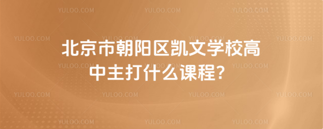北京市朝陽區(qū)凱文學(xué)校高中主打什么課程
